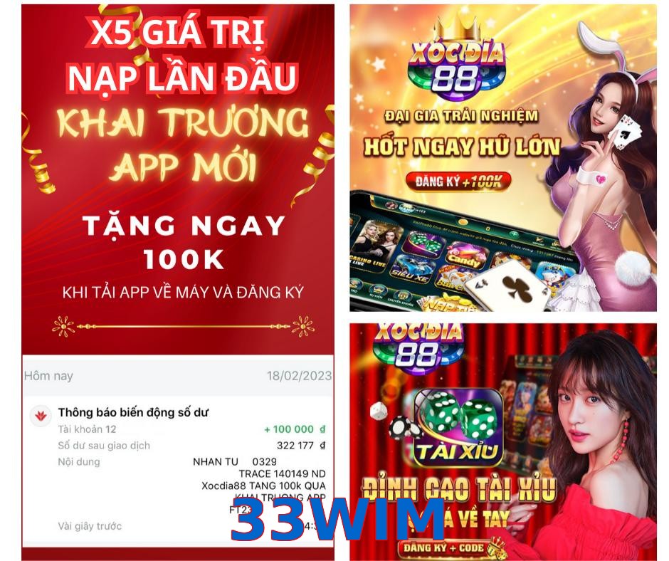 33WIM